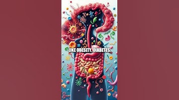 The Wonders of the Microbiome: A Journey into Our Inner Ecosystem