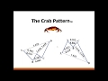 Harmonic Patterns - The Crab Pattern by Scott Carney