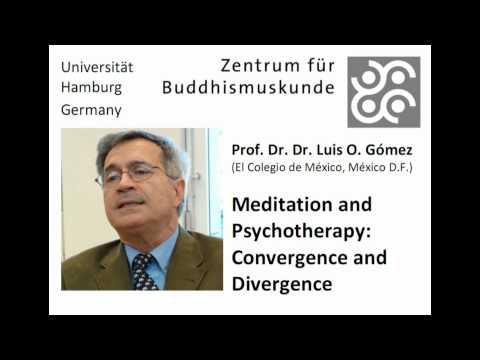 Lecture at the Center for Buddhist Studies of the University of Hamburg on July 3rd, 2012 (www.buddhismuskunde.uni-hamburg.de) Abstract of the lecture: For s...