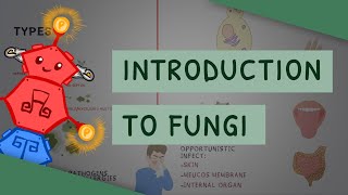 Introduction to Fungi by ATP 19,983 views 10 months ago 5 minutes, 43 seconds