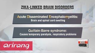 Brazilian scientists find new Zika-linked brain disorder in adults