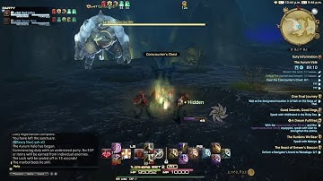 FFXIV Aurum Vale unsynced speedrun in 1m42s