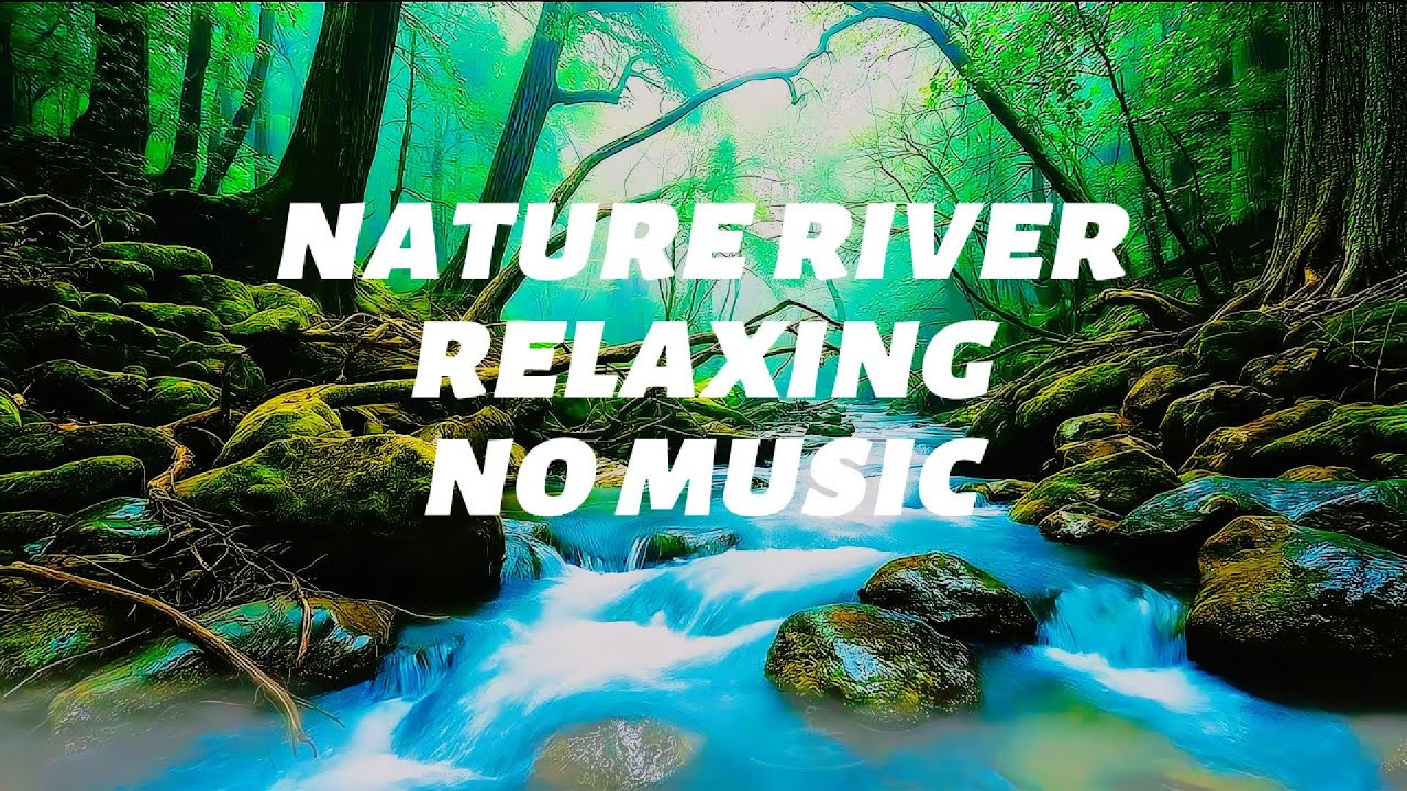 Instant Peace of Mind 🌿 Water Sounds & Relaxing Bird Singing, Anxiety Relief, Deep Sleep, Relaxation