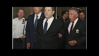 Judge approves revised Weinstein Co. bankruptcy sale plan Tiger Time!!