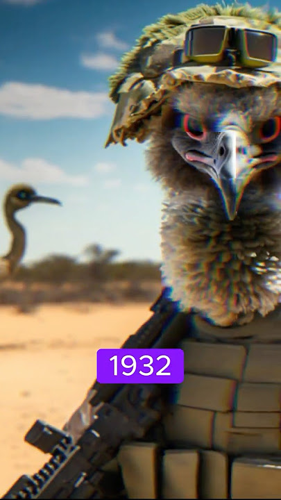 The Great Emu War đĒŋ#greatemuwar #AussieHistory