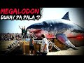 Ebidensya na Buhay pa Ang Megalodon Shark | Pating nakunan ng Camera