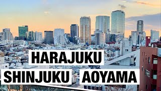 TOKYO from Shinjuku observation desk, Aoyama and Harajuku /JAPAN VLOG