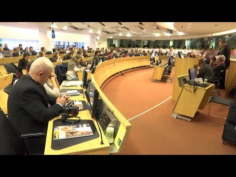 Folyamatosan képviselni kell az ifjúság érdekeit Európa-szinten