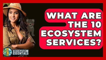 What Are The 10 Ecosystem Services? - Ecosystem Essentials