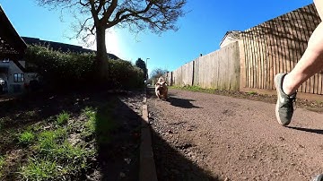 Insta 360 one x2 tiny planet test