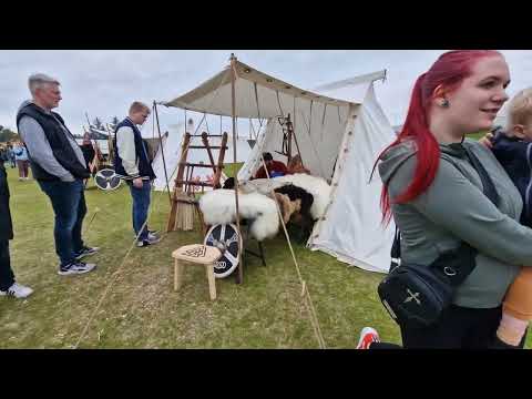 Vídeo: Festival Viking em Hafnarfjordur, Islândia