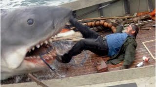 Man VS Shark | JAWS Ending Scene