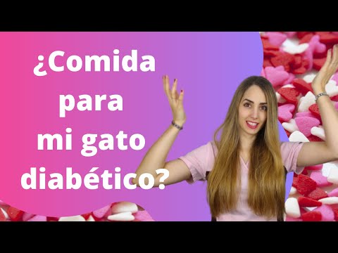 Video: Cómo Alimentar A Un Gato Con Diabetes