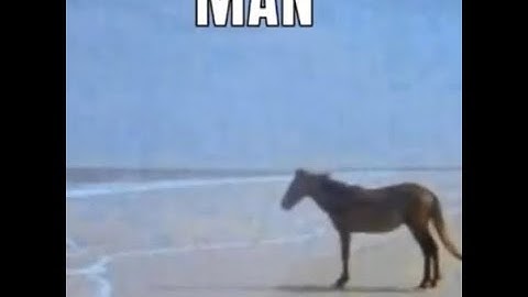 1 Last Time In Khei | Rogue Lineage