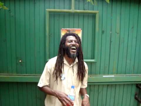 bob marley tour guide laugh