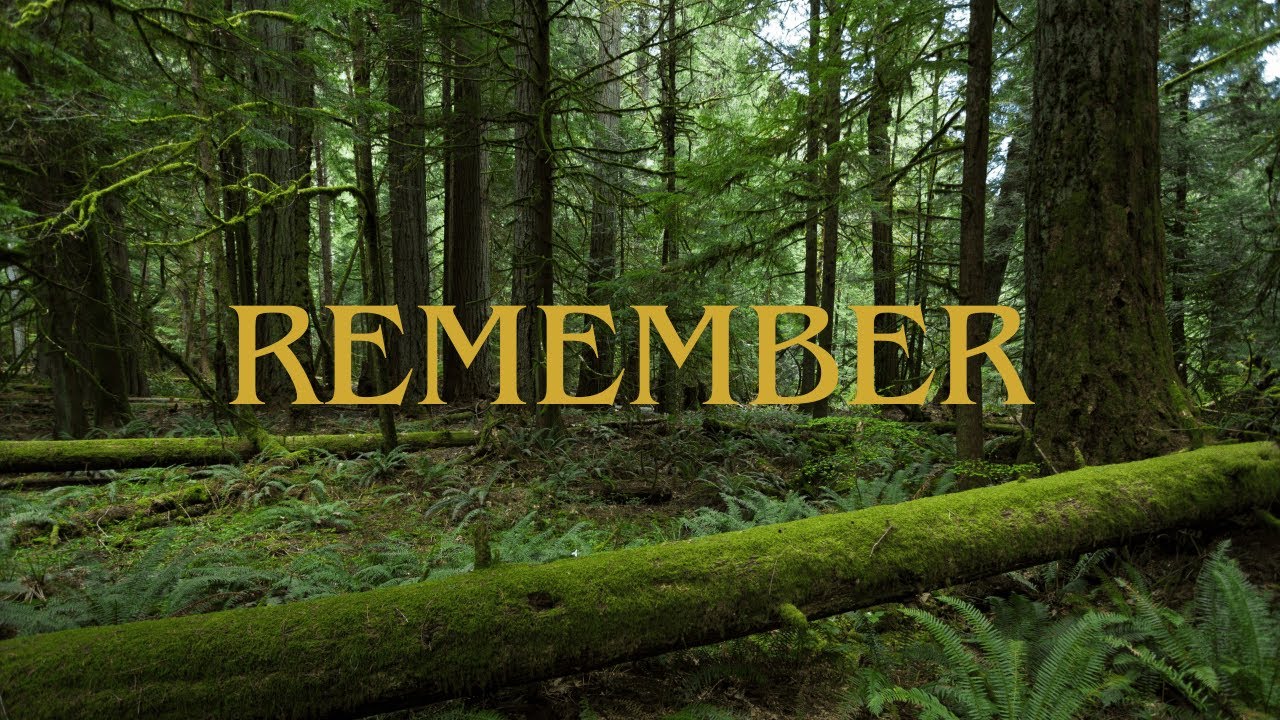 Remember  – Original Piano Composition - Ioan Gabriel Ilea  | 1 Hour Piano