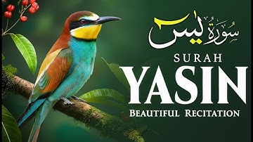 Surah Yasin (Yaseen) for Healing | Relieve Stress, Depression & Anxiety | سورة يس | #surahyaseen