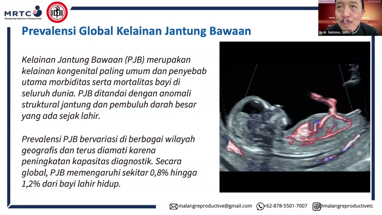 FETAL CARDIAC SCREENING