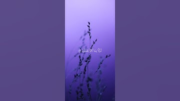 ﴿ أما الذين آمنوا وعملوا الصالحات ﴾ سوره السجدة، طارق محمد #قرآن​ #ارح_قلبك​ #قران_كريم