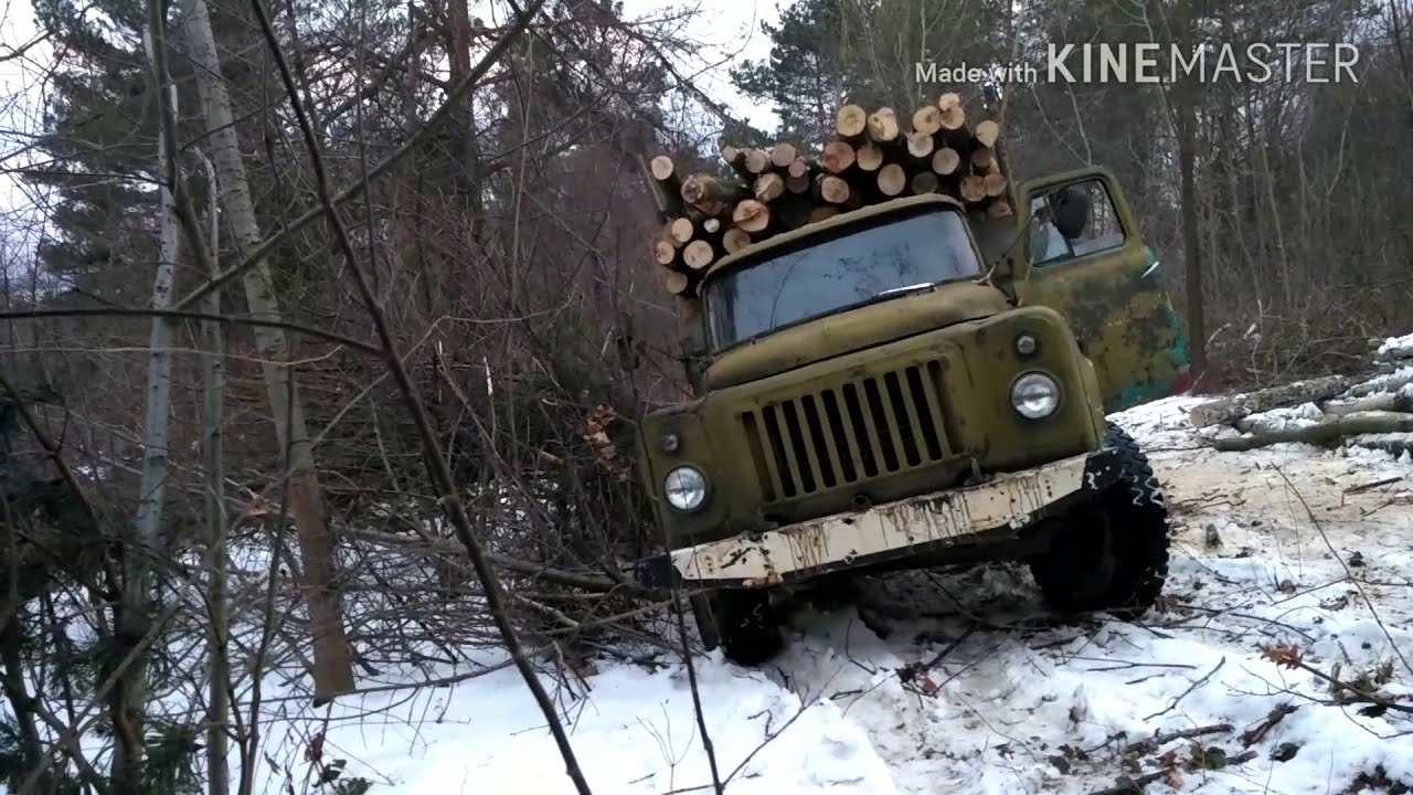 Жесть на газель