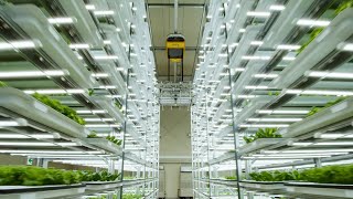 A-Plus Farm & Factory Tamura