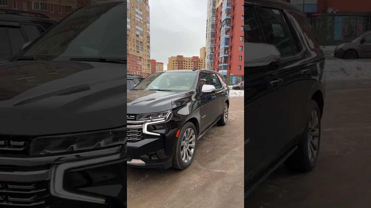 Кто больше нравится?