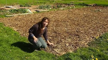Sheet mulching Part 1 - How to sheet mulch your garden