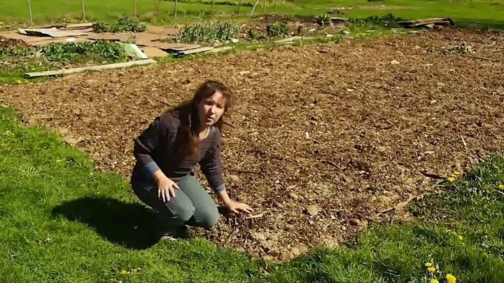 Sheet mulching Part 1 - How to sheet mulch your garden
