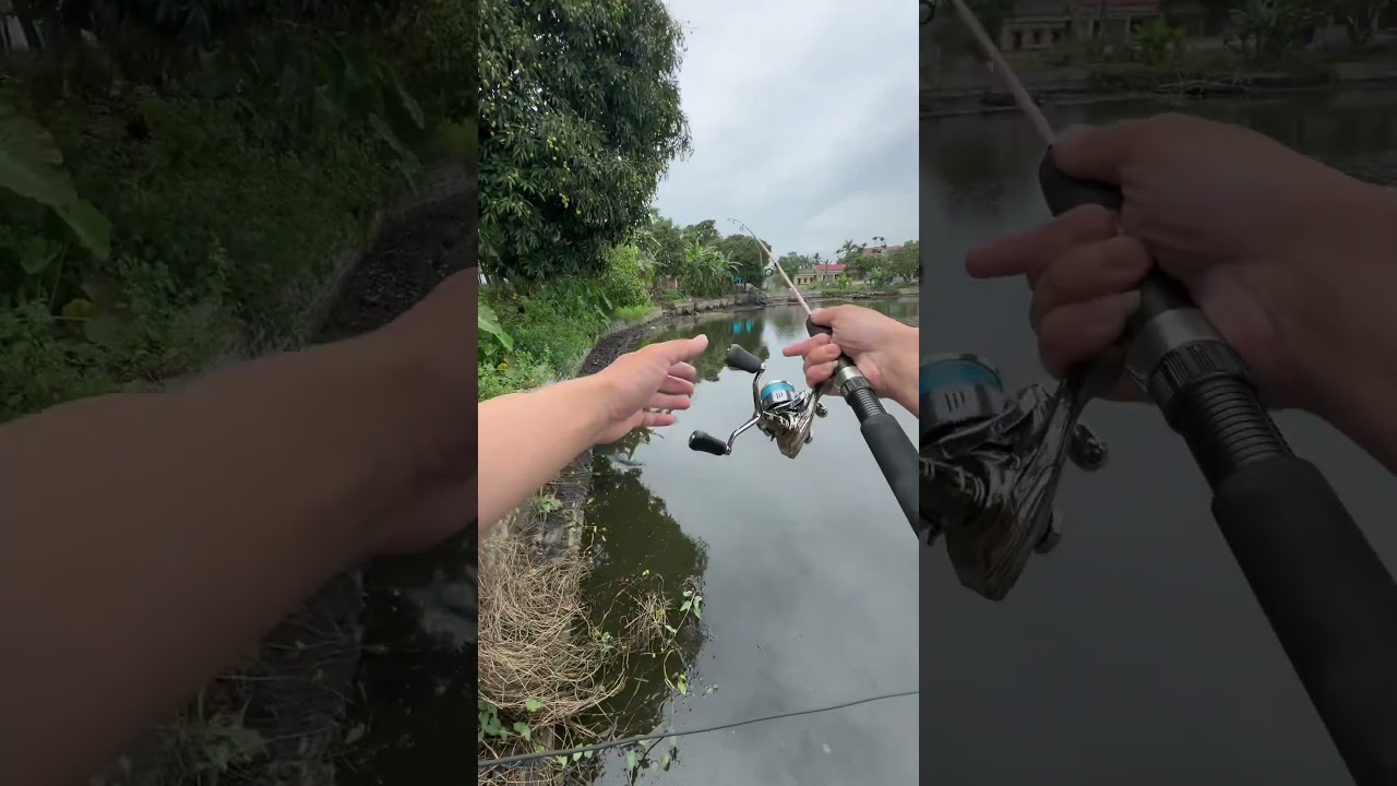 Nhái Tk34 ok ae nhá 