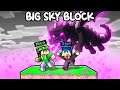 CORRI e SCAPPA dall'ENDER DRAGON su MINECRAFT! - BIG SKYBLOCK