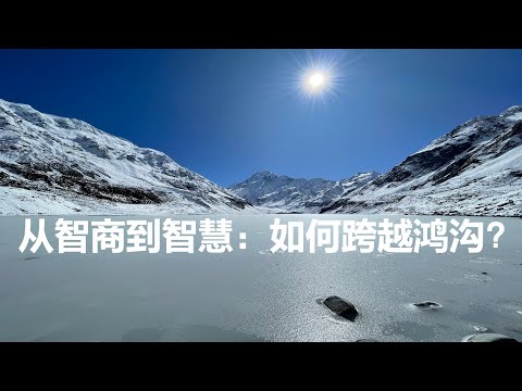 从智商到智慧：如何跨越鸿沟？