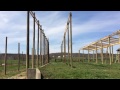 Start of the new cattle Receiving and Feeding barn