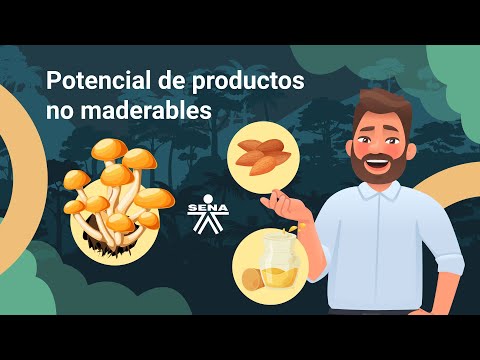 Potencial de productos no maderables del bosque: introducción