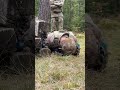 #ASMR: Day 3 of the 21st TSC’s Best Squad Competition