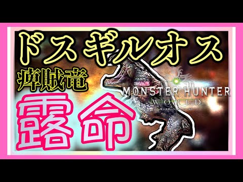 Monster Hunter World Great Girros Guide: Managing Paralysis and Mobs