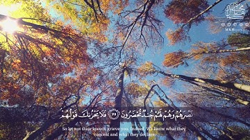 فلا يحزنك قولهم 😌❤️ | من سورة يس | القارئ محمد كمال هاشم