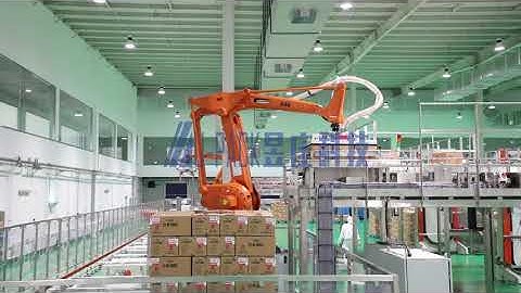 Robot depalletizing or palletizing machine