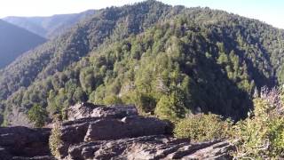 Summit of Chimney Tops