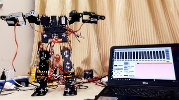 17 DOF Humanoid Testing#2 | Walking Stabilization Arm Motion  | Arduino Servo Controller