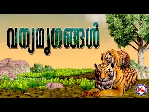 വന്യമൃഗങ്ങൾ (WILD ANIMALS) | Malayalam | Education for Kids