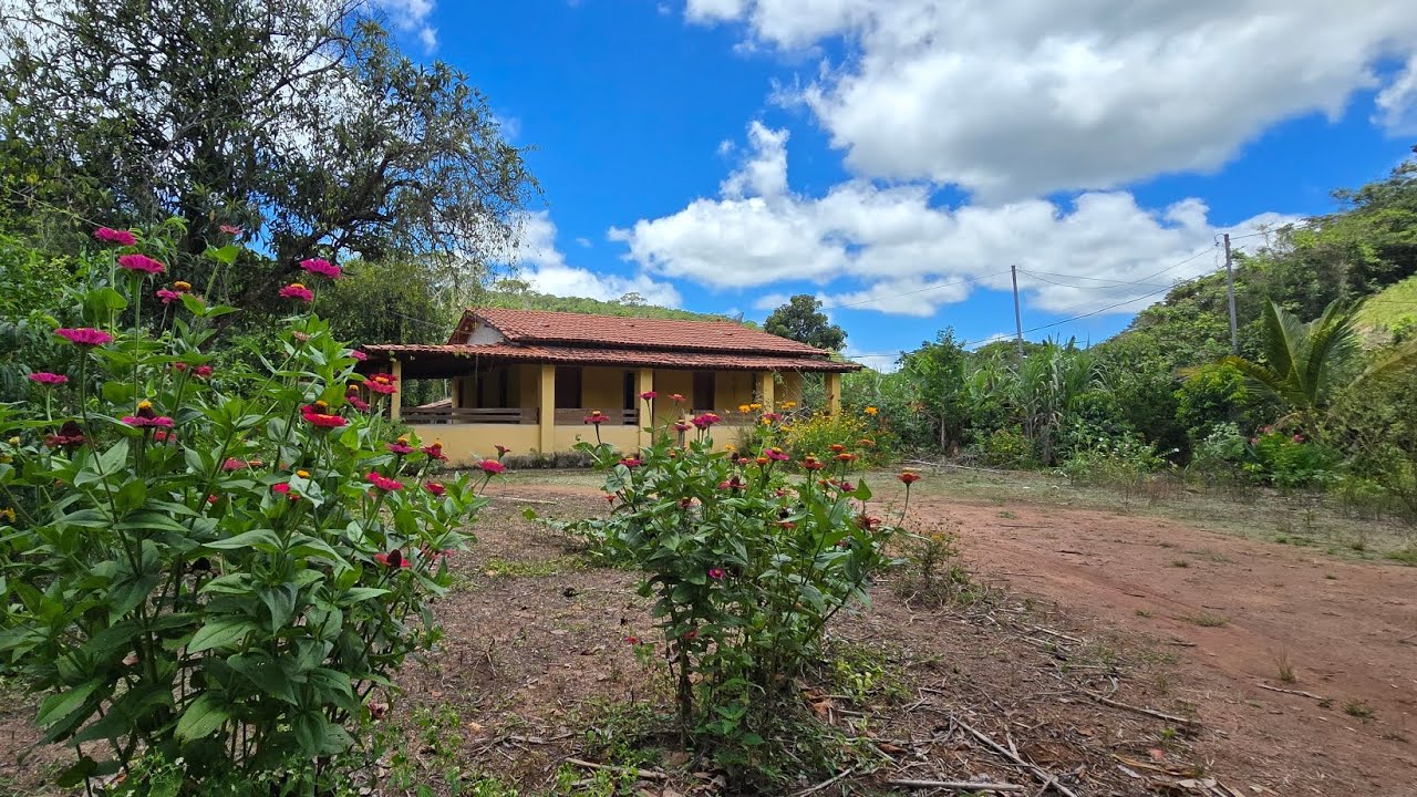 ✨️ FAZENDA SÃO FRANCISCO 75HA BAIXOU O PREÇO OPORTUNIDADE R$750.000.00 ✨️ 