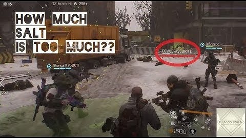 The Division - How Much Salt Is Too Much?? 1.8.3 (LANGUAGE WARNING)