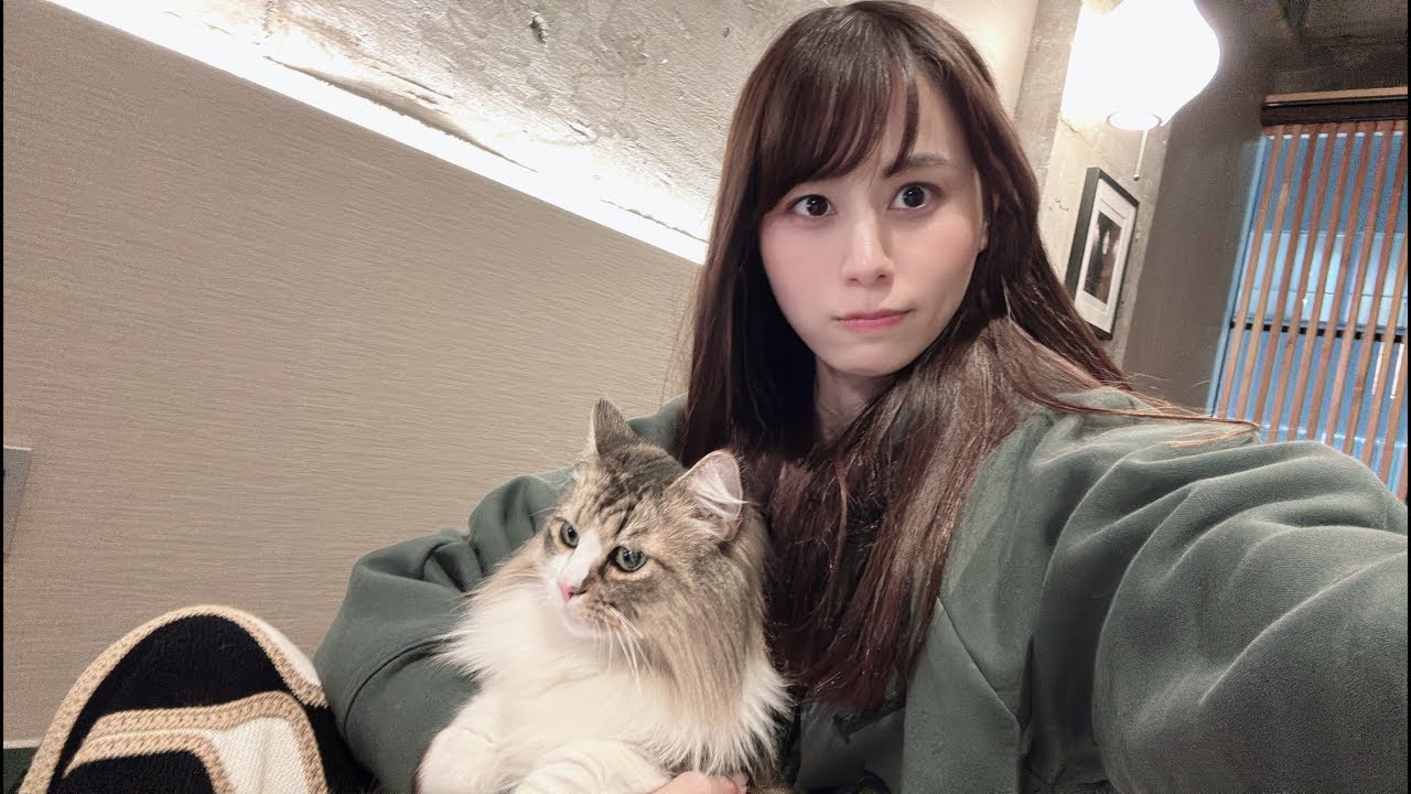 あほねこ 緊急配信】33万人記念＆現状報告します - YouTube