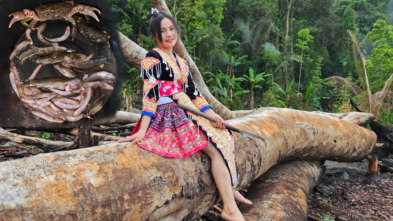 This Is How Hmong Live In Laos (5-10-2024)