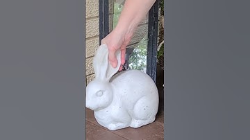 Farmhouse porch makeover! / decorating with plants / robin lane lowe #shorts #frontporchmakeover