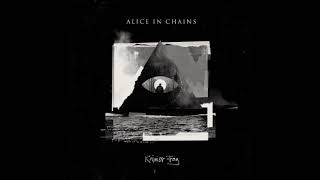 The One You Know Alice in Chains Rainier Fog