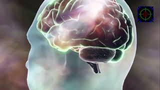Brain Bites | Grounding