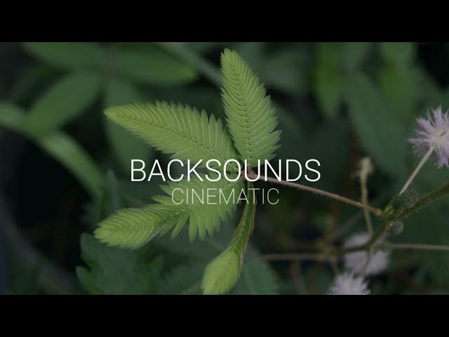 Backsound Music Cinematic Alam No Copyright /(Free To Use) class=