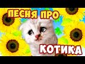 Мой любимый котик/ Песни Для Детей /Ирин ДОМ