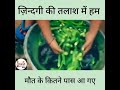 Jindgi ki Talash me ham, maut Ke kitne pass aa gaye